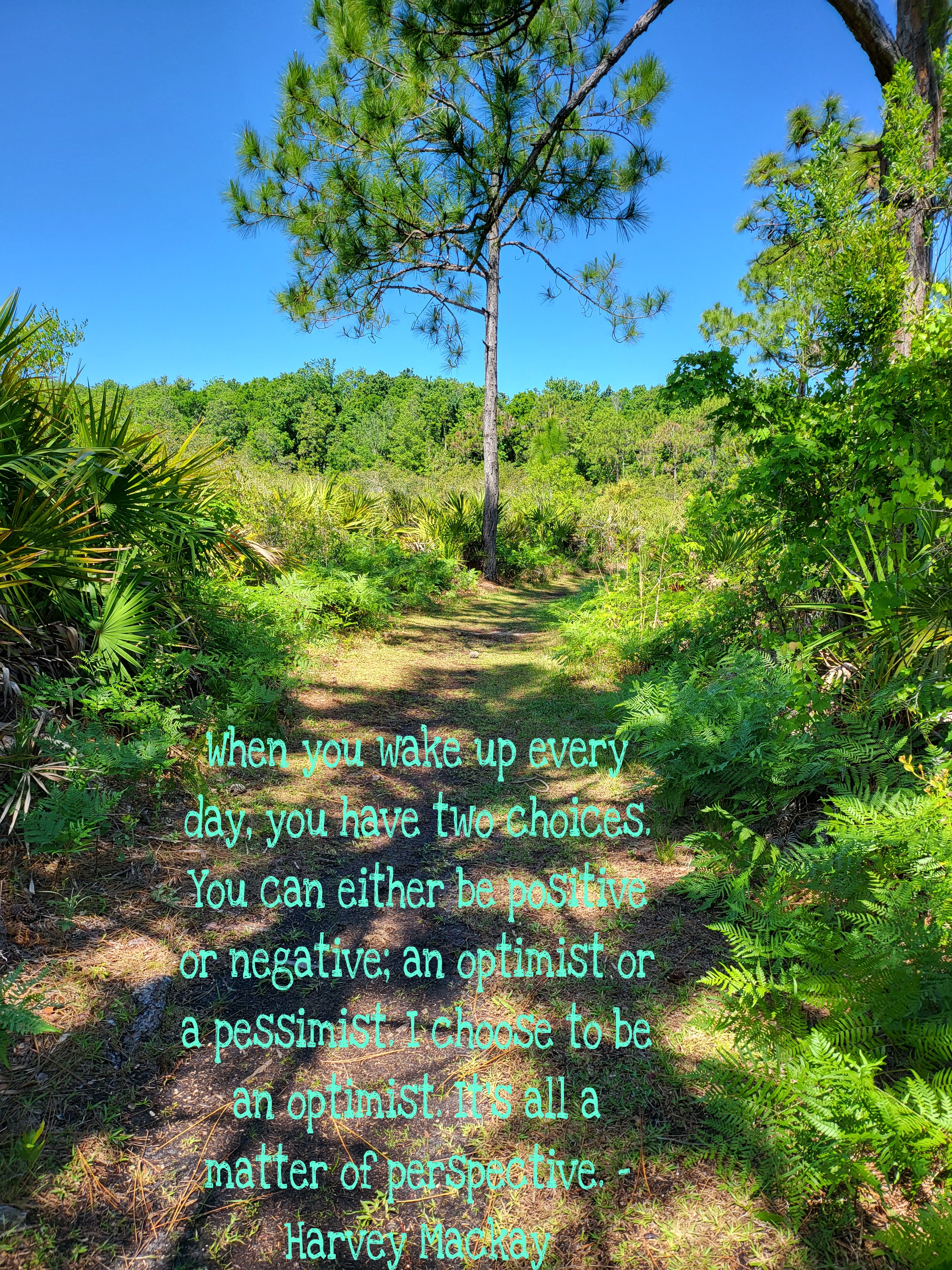 No Excuse November Day 13: Sharing Saturday & Sunday
