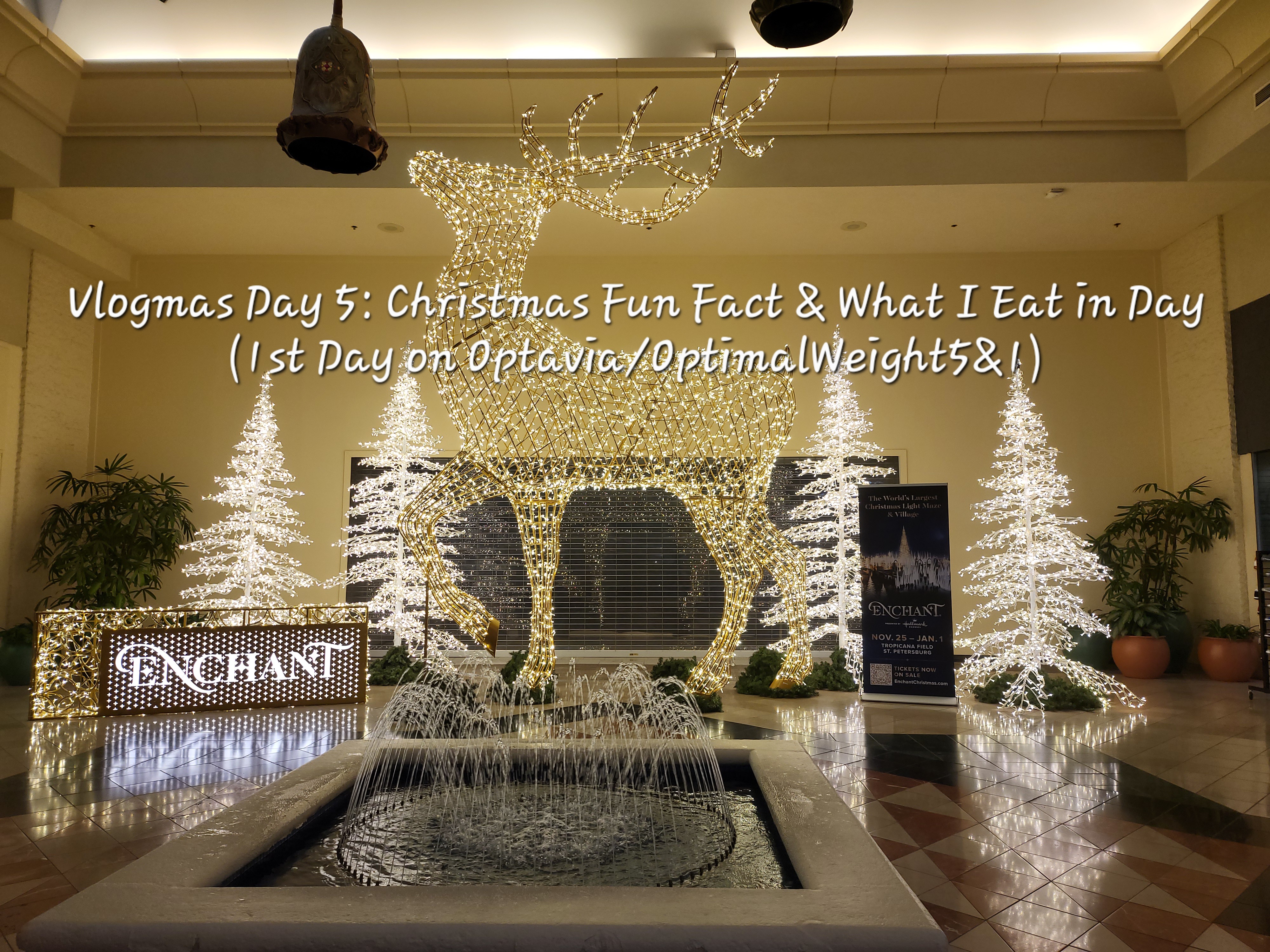 Vlogmas Day 5: Christmas Fun Fact & What I Eat in Day (1st Day on Optavia/OptimalWeight5&1)