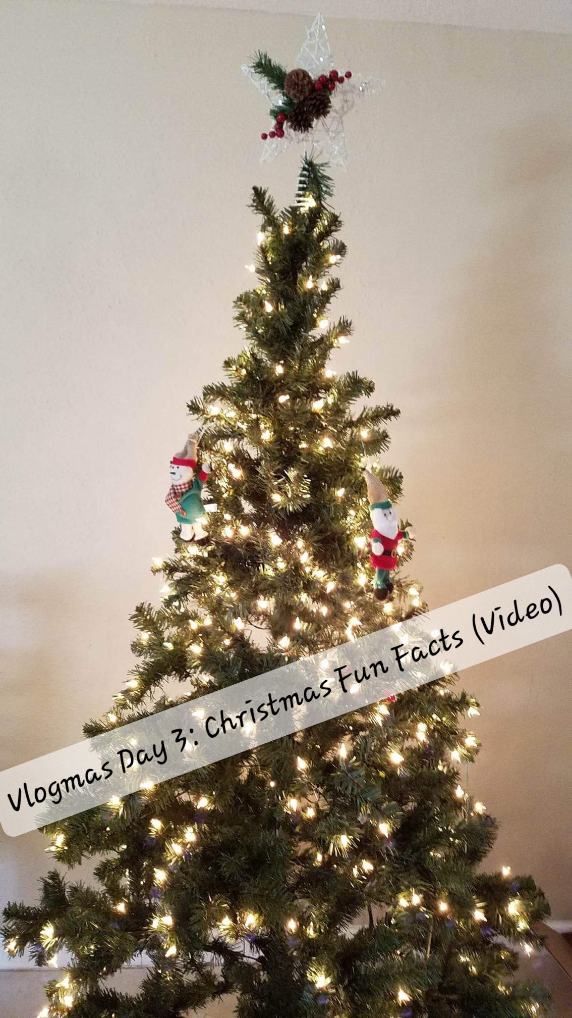 Vlogmas Day 3: Christmas Fun Facts (Video)