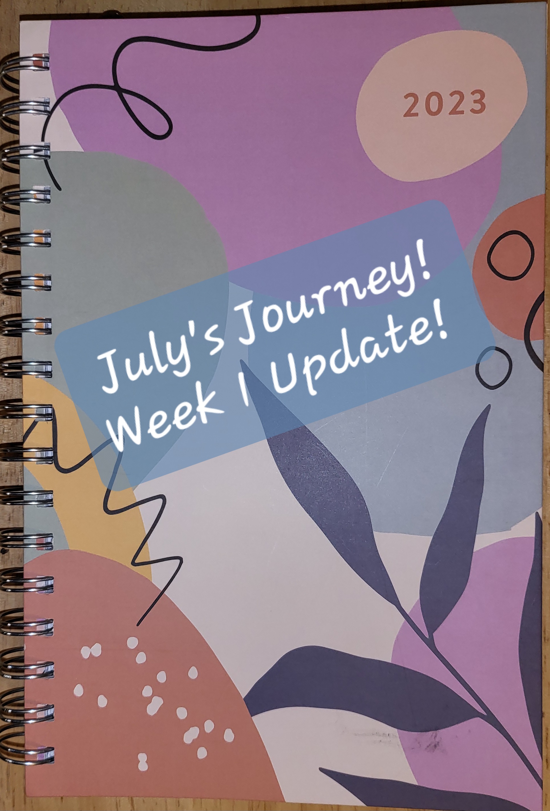 July’s Journey! Week 1 Update!